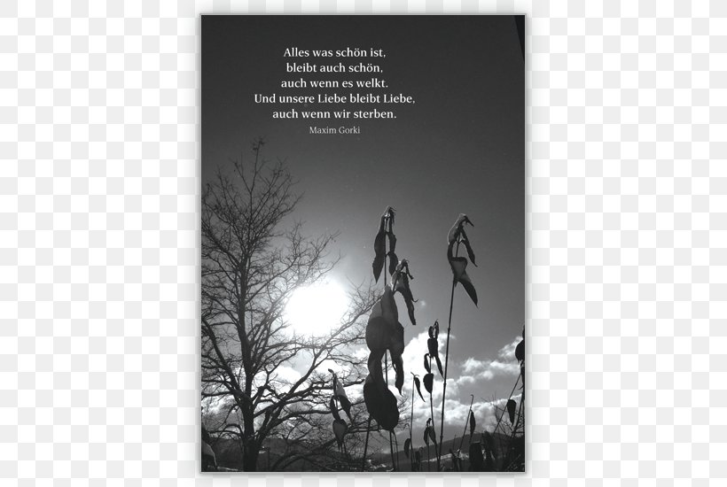 Condolences Mourning Trauerspruch Quotation Saying, PNG, 635x550px, Condolences, Black And White, Consolation, Death, Greeting Note Cards Download Free