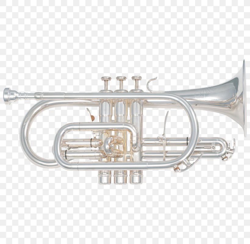 Cornet Saxhorn Brass Instruments Flugelhorn Bugle, PNG, 800x800px, Watercolor, Cartoon, Flower, Frame, Heart Download Free