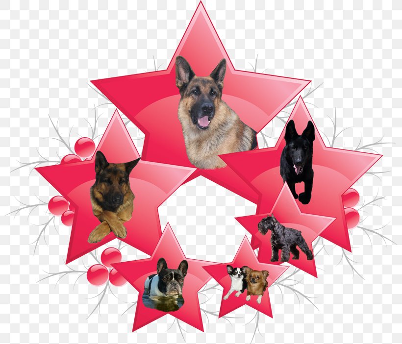 Drawing Star Clip Art, PNG, 800x702px, Drawing, Animation, Carnivoran, Dog, Dog Breed Download Free