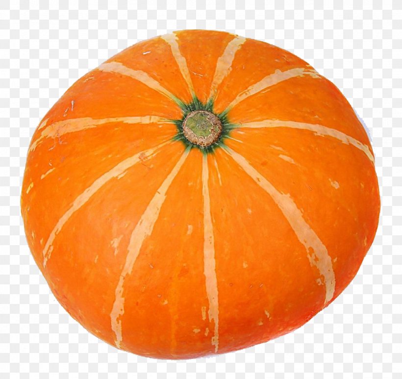 Pumpkin Pie Jack-o-lantern, PNG, 1024x966px, Pumpkin, Auglis, Autumn, Calabaza, Cucumber Gourd And Melon Family Download Free