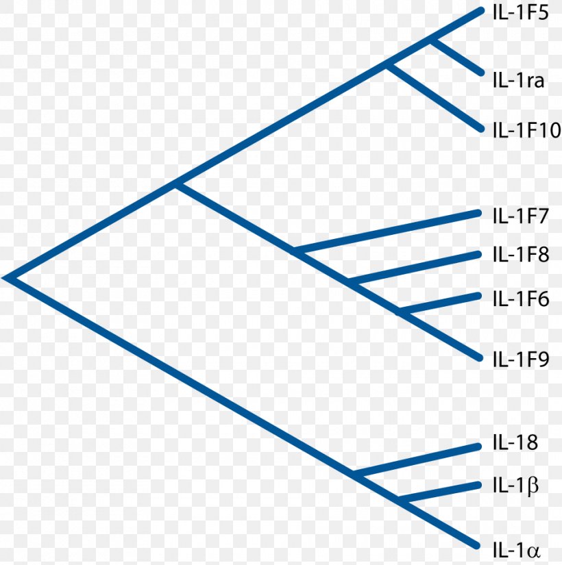 Interleukin-1 Family IL1B Interleukin-1 Receptor Interleukin 18, PNG, 960x967px, Interleukin1 Family, Adaptive Immune System, Area, Blue, Cytokine Download Free