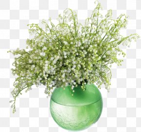 Cartoon Wild Chrysanthemum - Lilium Lily Of The Valley Flower Wallpaper PNG