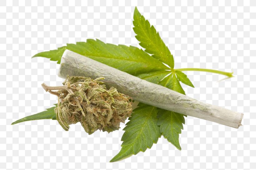 Medical Cannabis Cannabis Smoking Legality Of Cannabis Drug, PNG, 1024x680px, Cannabis, Bong, Cannabis Consumption, Cannabis Industry, Cannabis Smoking Download Free