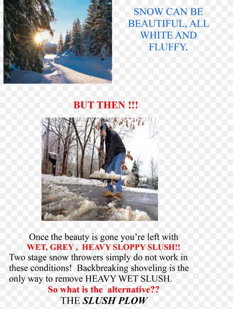 Advertising Tree Winter Ski Sporting Goods, PNG, 900x1193px, Advertising, Ski, Ski Equipment, Snow, Sporting Goods Download Free