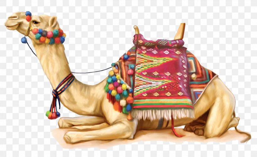Bactrian Camel Dromedary Clip Art, PNG, 1612x983px, Bactrian Camel, Arabian Camel, Camel, Camel Like Mammal, Camel Racing Download Free