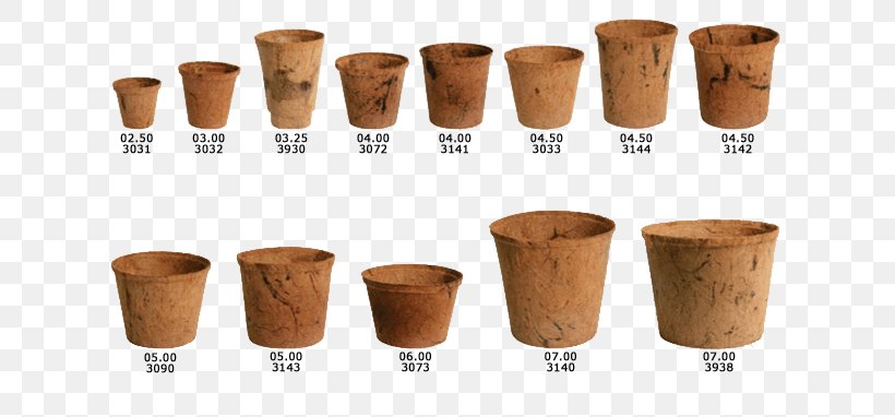 Coir Horticulture Material Manufacturing, PNG, 666x382px, Coir, Ceramic, Coconut, Cup, Export Download Free