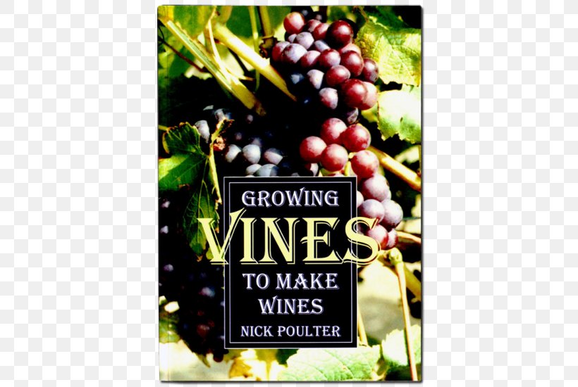 Common Grape Vine Growing Vines To Make Wines Dessert Wine, PNG, 550x550px, Grape, Advertising, Book, Chokeberry, Common Grape Vine Download Free