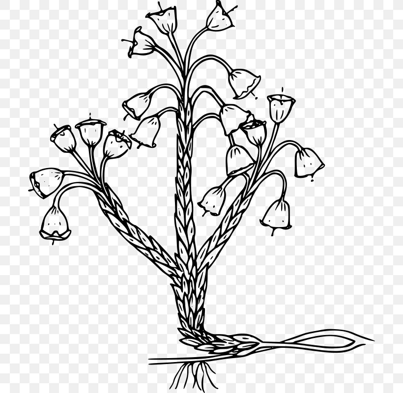 Design, PNG, 706x800px, Flower, Art, Black And White, Branch, Drawing Download Free