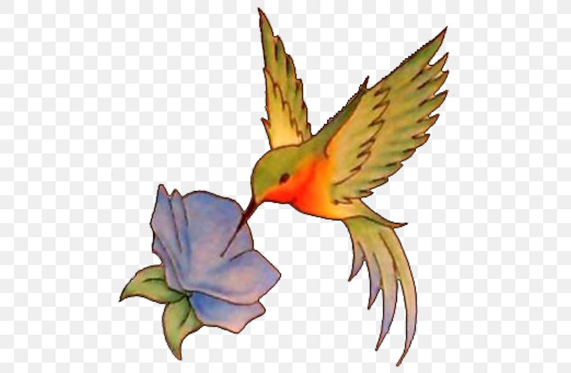 Hummingbird Tattoo Flash, PNG, 500x535px, Hummingbird, Animal, Art, Beak, Bird Download Free