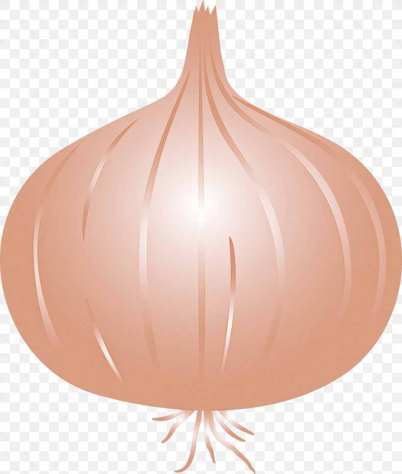 Onion, PNG, 2545x2999px, Onion, Peach Download Free