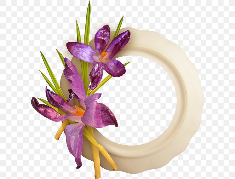 Flower Purple Violet Plant Flowering Plant, PNG, 607x626px, Flower, Crocus, Cut Flowers, Flowering Plant, Iris Download Free