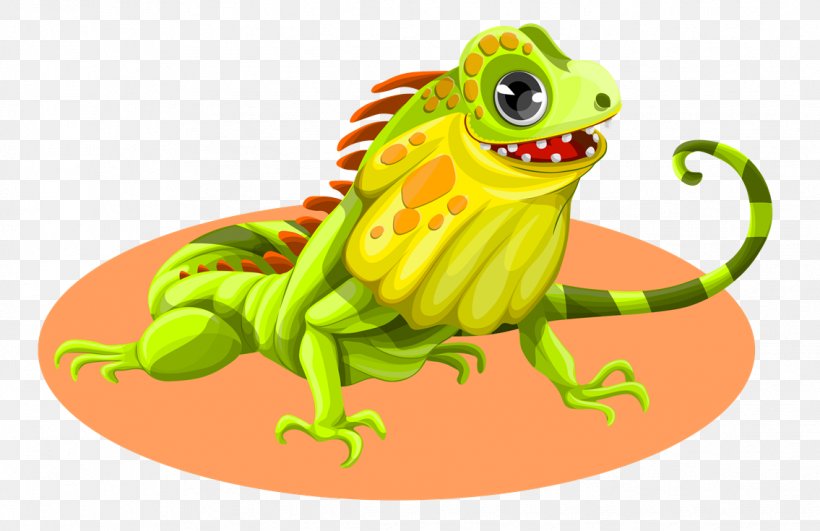 Lizard Green Iguana Reptile Marine Iguana Clip Art, PNG, 1135x735px, Lizard, Amphibian, Blue Iguana, Common Iguanas, Fictional Character Download Free