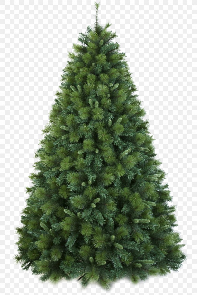 Artificial Christmas Tree Douglas Fir, PNG, 1066x1600px, Christmas Tree, Artificial Christmas Tree, Balsam Fir, Balsam Hill, Biome Download Free