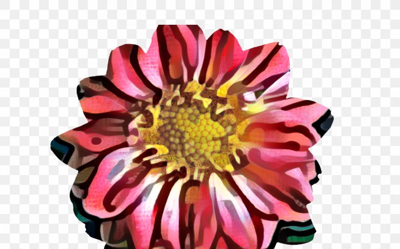 Chrysanthemum Floristry Cut Flowers Dahlia Petal, PNG, 1368x855px, Chrysanthemum, Aster, Chrysanths, Cut Flowers, Dahlia Download Free