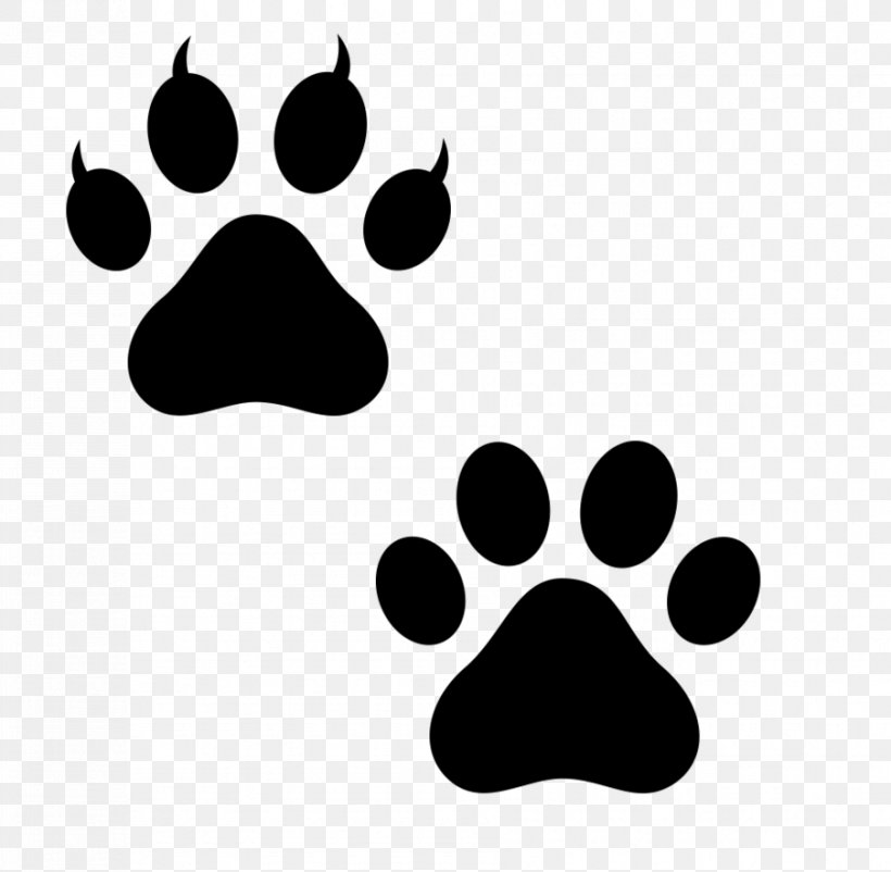 Dog Paw Bear Polydactyl Cat Puppy, PNG, 903x884px, Dog, Animal Track, Bear, Black, Black And White Download Free