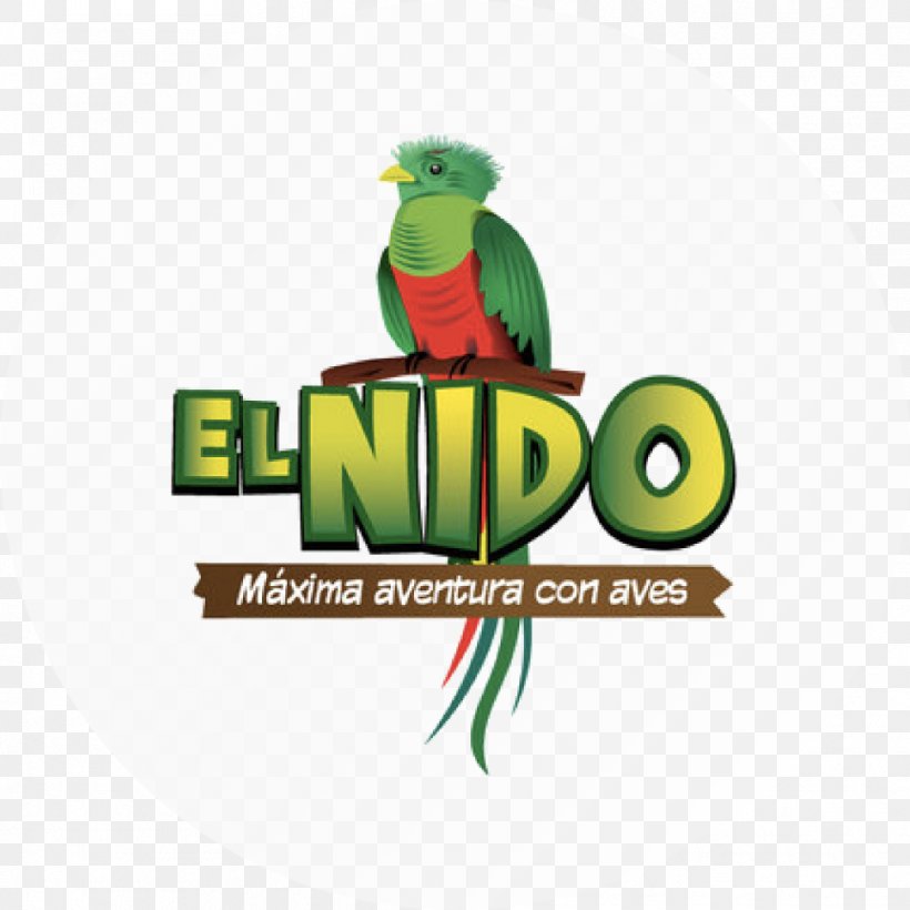 El Nido Logo Macaw Aviary Brand, PNG, 1011x1011px, El Nido, Aviary, Beak, Brand, Fauna Download Free