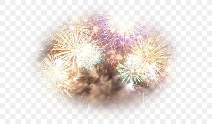Fireworks Desktop Wallpaper Fond Blanc Image, PNG, 640x480px, Fireworks, Artificier, Bastille Day, Event, Fire Download Free