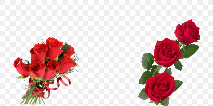 Garden Roses Cut Flowers Cabbage Rose Flower Bouquet, PNG, 1560x776px, Garden Roses, Artificial Flower, Cabbage Rose, Carnation, Cut Flowers Download Free