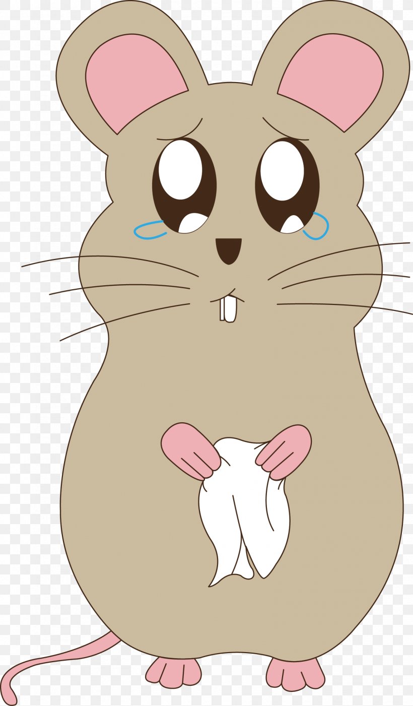 Rat Whiskers Sadness, PNG, 1555x2658px, Watercolor, Cartoon, Flower, Frame, Heart Download Free
