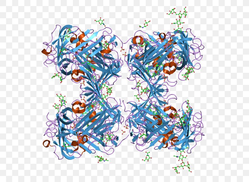 Urokinase Receptor Graphic Design Plasminogen Activator, PNG, 800x600px, Urokinase Receptor, Art, Organism, Plasmin, Plasminogen Activator Download Free