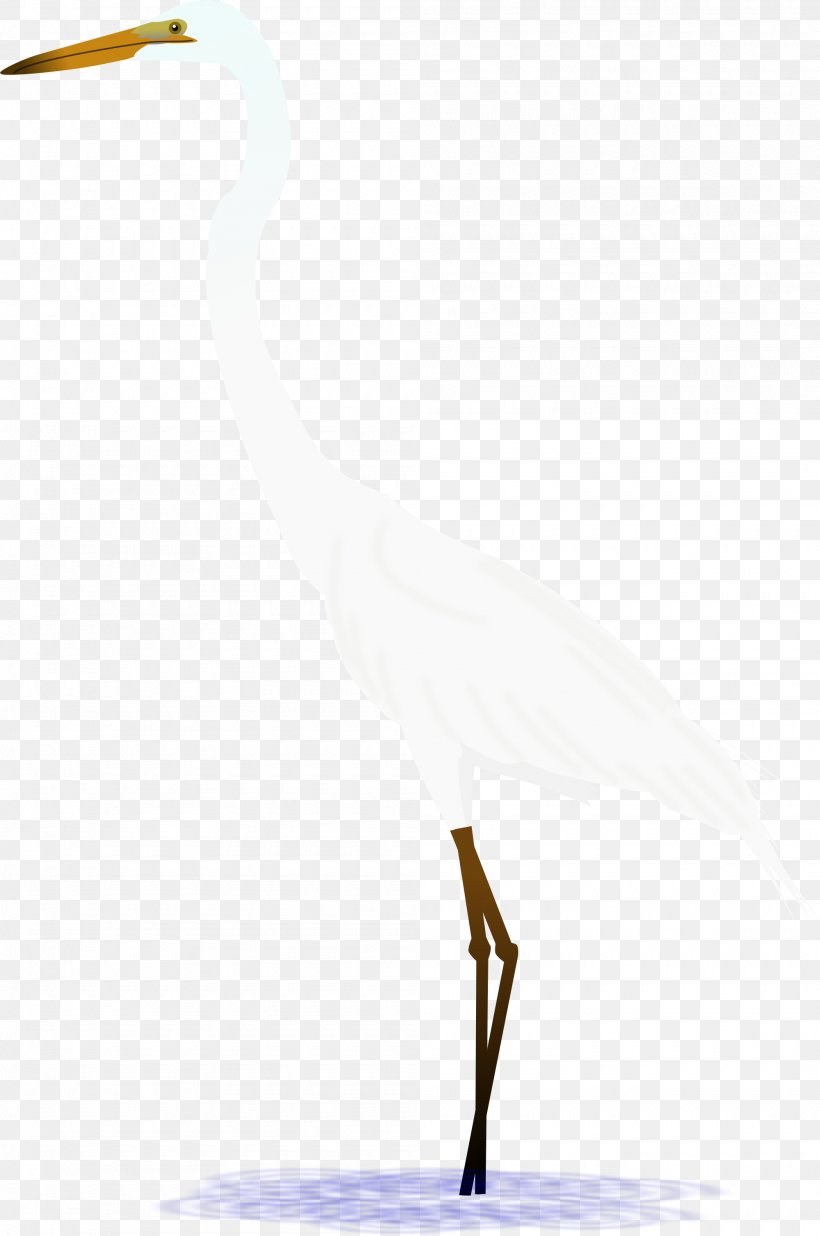 Water Bird Heron Stork Crane, PNG, 2000x3016px, Bird, Beak, Ciconiiformes, Crane, Crane Like Bird Download Free