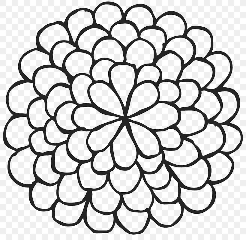 Dahlia Clip Art Image Deadheading Drawing, PNG, 800x800px, Dahlia, Area, Black And White, Deadheading, Drawing Download Free