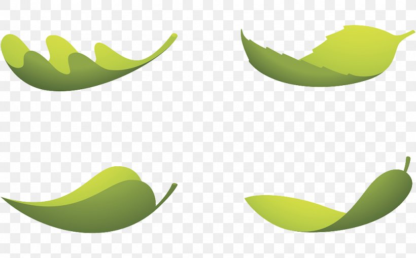 Design, PNG, 1024x636px, Leaf, Green, Plant Stem Download Free