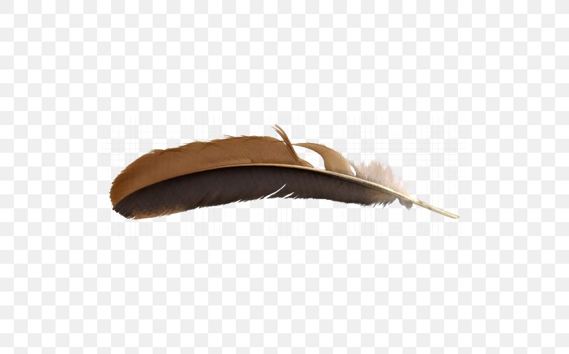 Feather Brown, PNG, 525x510px, Feather, Brown, Designer, Feathered Dinosaur, Gratis Download Free