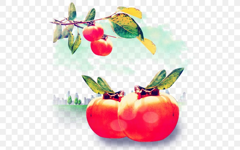 Persimmon ICO Fruit Icon, PNG, 512x512px, Persimmon, Apple, Apple Icon Image Format, Csssprites, Diet Food Download Free