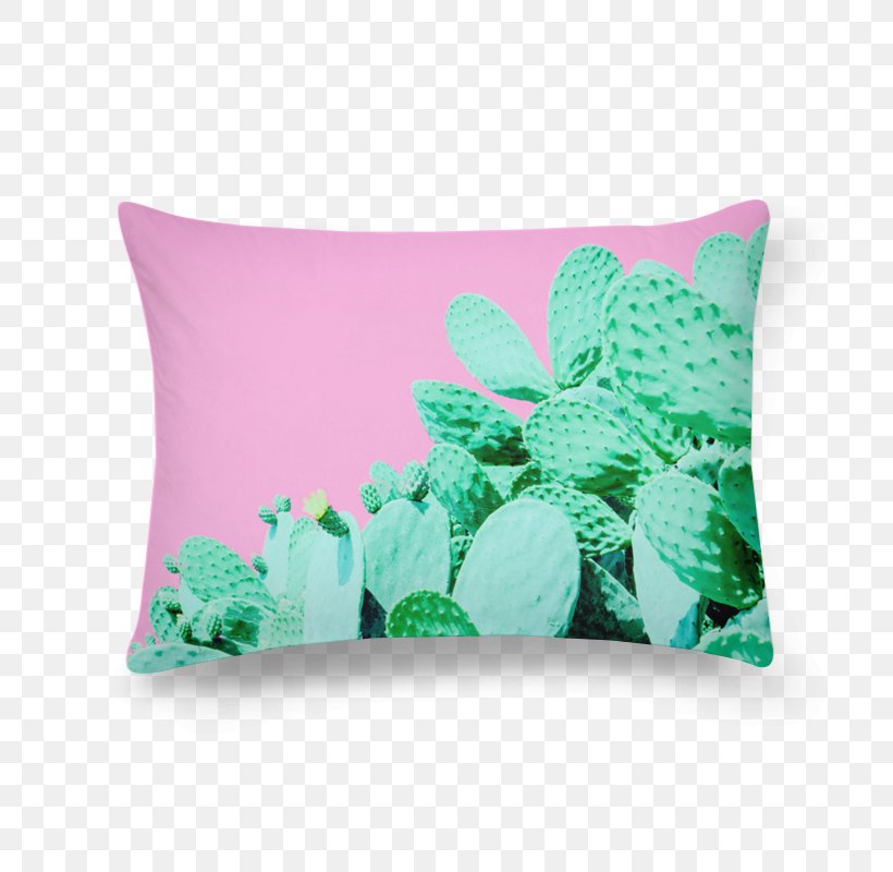 Cactaceae Cactus Garden Throw Pillows Plant Desert, PNG, 800x800px, Cactaceae, Adhesive, Billboard, Cactus Garden, Cushion Download Free