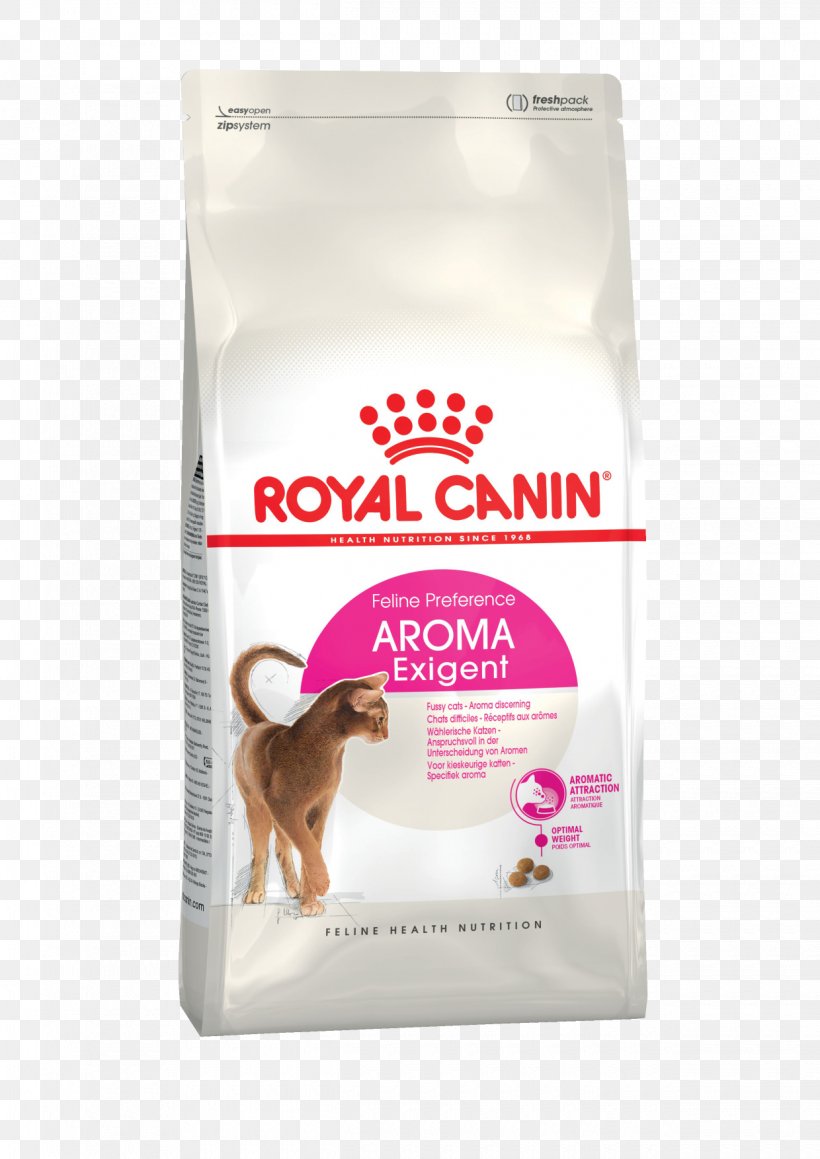 Cat Food Dog Royal Canin Sterilised 37, PNG, 1240x1754px, Cat Food, Cat, Cat Health, Dog, Dog Food Download Free