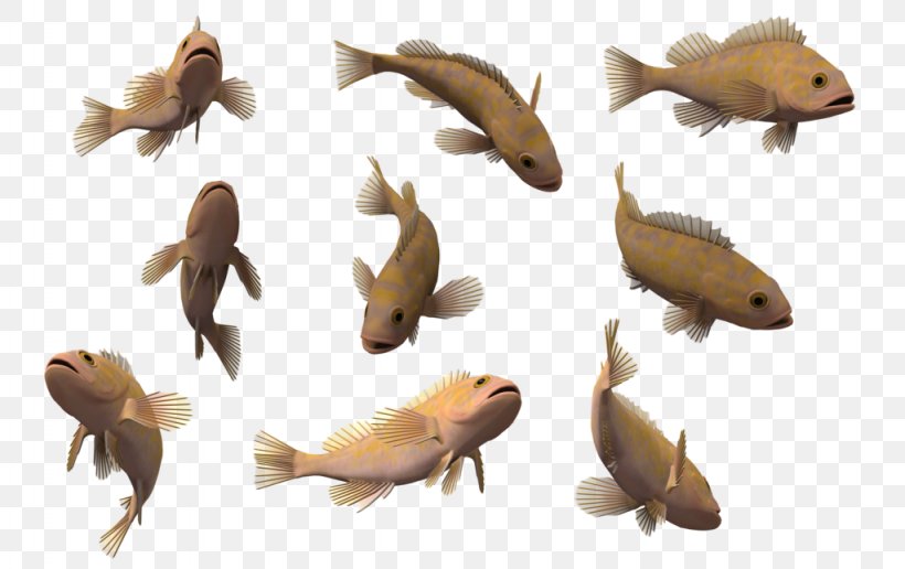 Fish Deep Sea Creature 3D Computer Graphics Clip Art, PNG, 1024x645px, 3d  Computer Graphics, Fish, Animal,