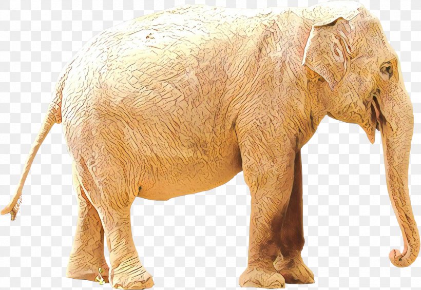 Indian Elephant African Elephant Terrestrial Animal Fauna, PNG, 1753x1209px, Indian Elephant, African Elephant, Animal, Animal Figure, Elephant Download Free