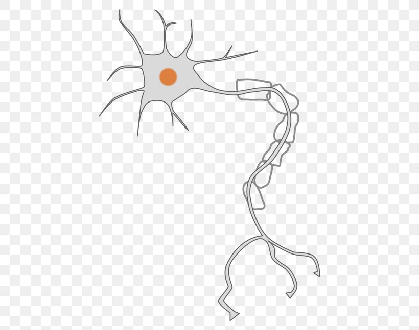 Neuron Nervous System Axon Clip Art, PNG, 468x647px, Watercolor, Cartoon, Flower, Frame, Heart Download Free