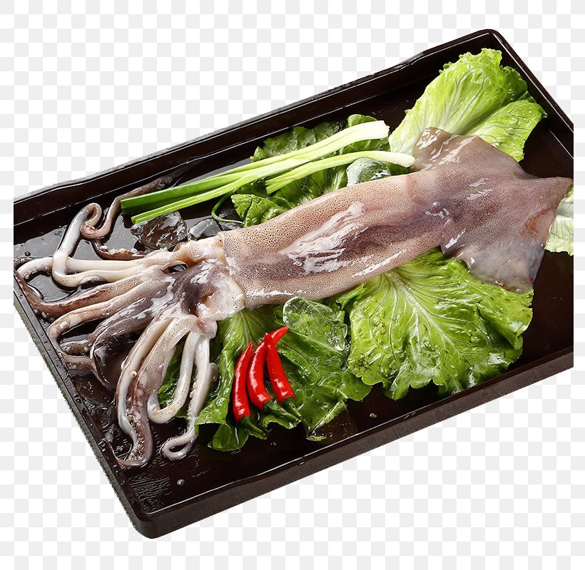 Argentina Squid Download, PNG, 800x800px, Argentina, Animal Source Foods, Asian Food, Cuisine, Designer Download Free