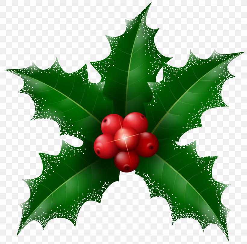 Christmas Desktop Wallpaper Clip Art, PNG, 8000x7884px, Christmas, Aquifoliaceae, Aquifoliales, Christmas Ornament, Common Holly Download Free