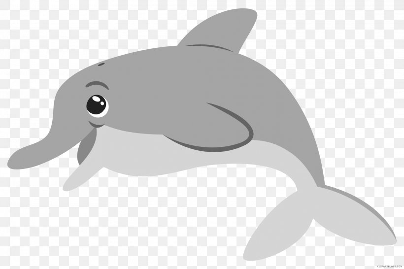 Common Bottlenose Dolphin Clip Art Illustration Tucuxi, PNG, 2025x1350px, Common Bottlenose Dolphin, Beak, Bottlenose Dolphin, Cetacea, Dolphin Download Free