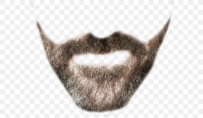 Desktop Wallpaper, PNG, 597x476px, Beard, Fur, Hair, Moustache, Photomontage Download Free