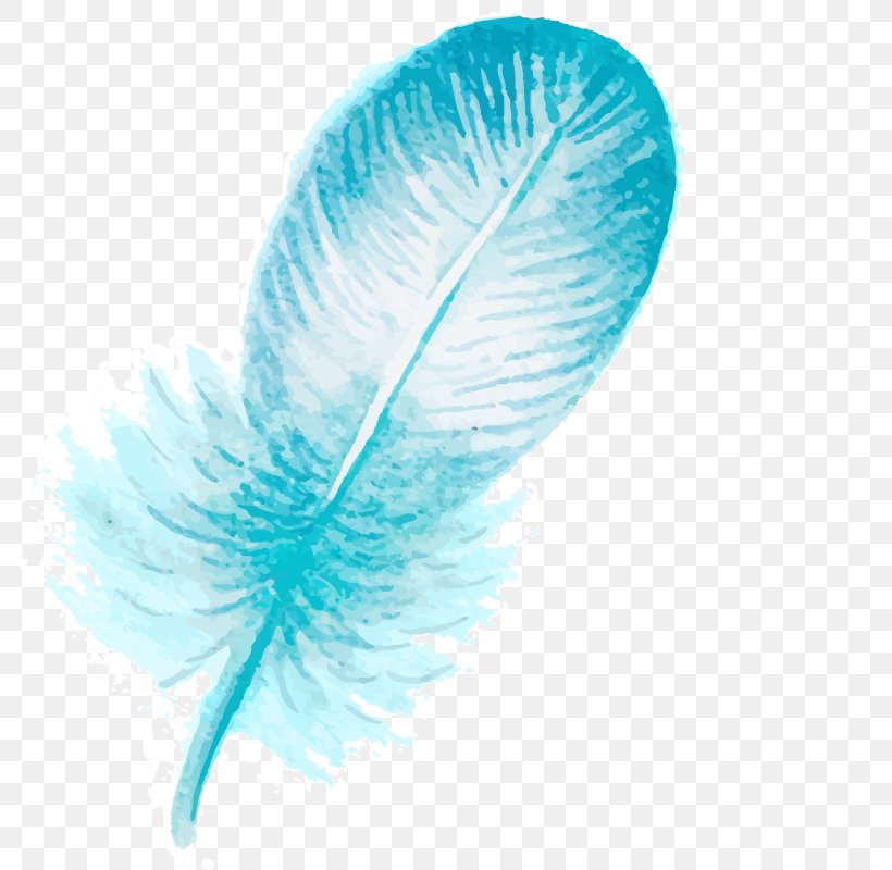Feather Bird Blue Hair, PNG, 800x800px, Feather, Aqua, Bird, Blue, Color Download Free