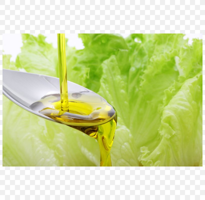 Oil Lettuce Food Health Salad, PNG, 800x800px, Oil, Colza Oil, Cooking Oil, Diet, Eating Download Free