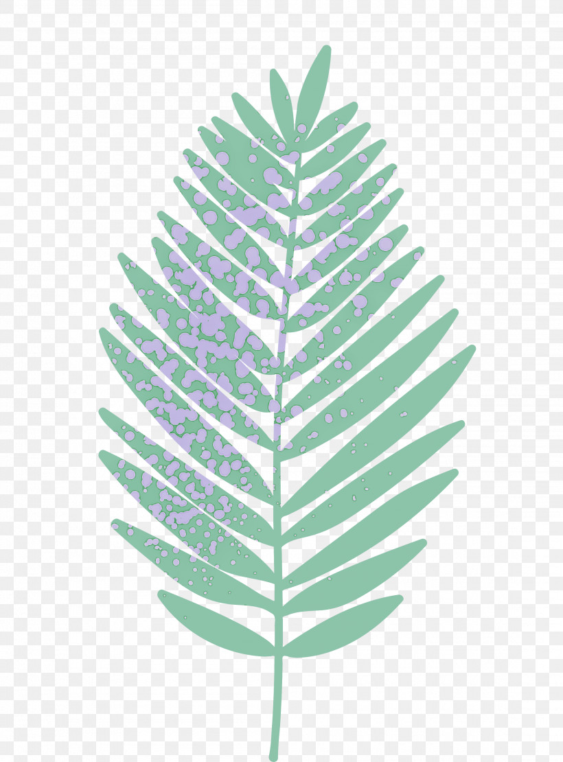 Palm Trees, PNG, 2215x3000px, Twig, Branch, Dandelion, Fern, Goniophlebium Download Free