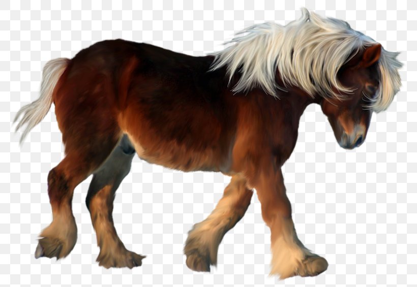 Shetland Pony American Miniature Horse Twilight Sparkle Clip Art, PNG, 800x565px, Pony, American Miniature Horse, Animal Figure, Equestrian, Horse Download Free