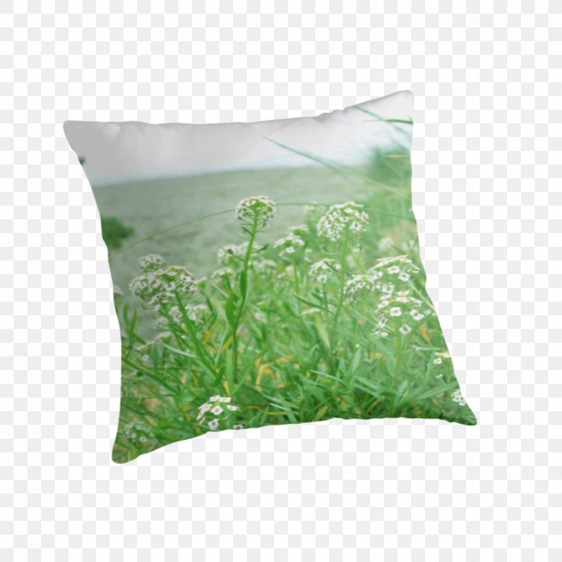 Throw Pillows Cushion Plant, PNG, 875x875px, Throw Pillows, Cushion, Grass, Green, Pillow Download Free