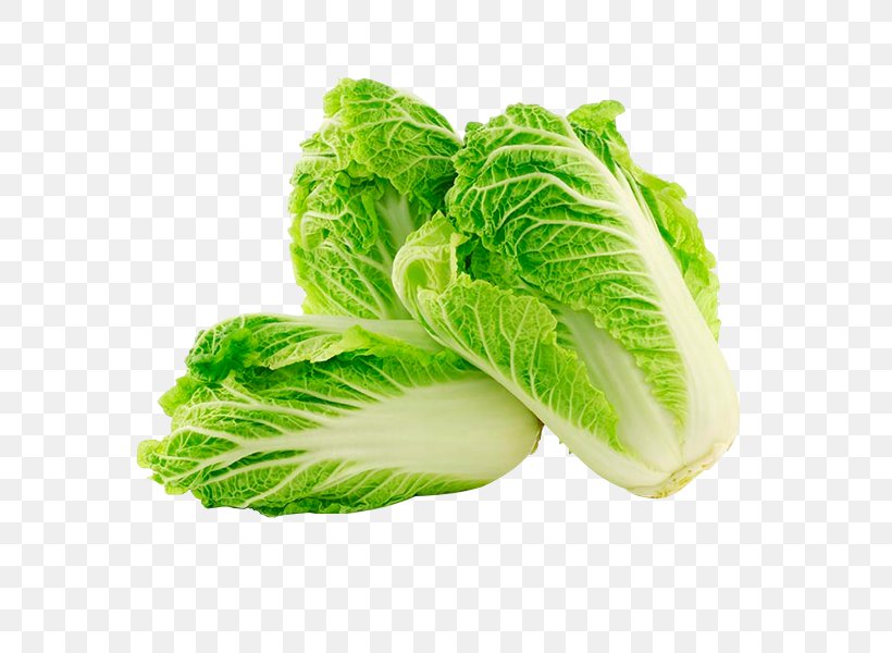 Chinese Cuisine Napa Cabbage Chinese Cabbage Vegetable, PNG, 600x600px, Chinese Cuisine, Brassica, Brassica Rapa, Broccoli, Cabbage Download Free