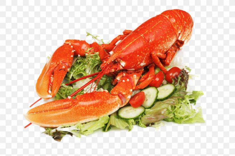 Lobster Crayfish As Food Caridea Vegetable, PNG, 1100x733px, Lobster, Animal Source Foods, Caridea, Cooking, Crab Meat Download Free