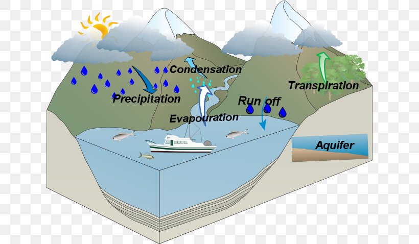 Water Cycle Water Resources Image Lyneham High School, PNG, 639x478px, Watercolor, Cartoon, Flower, Frame, Heart Download Free