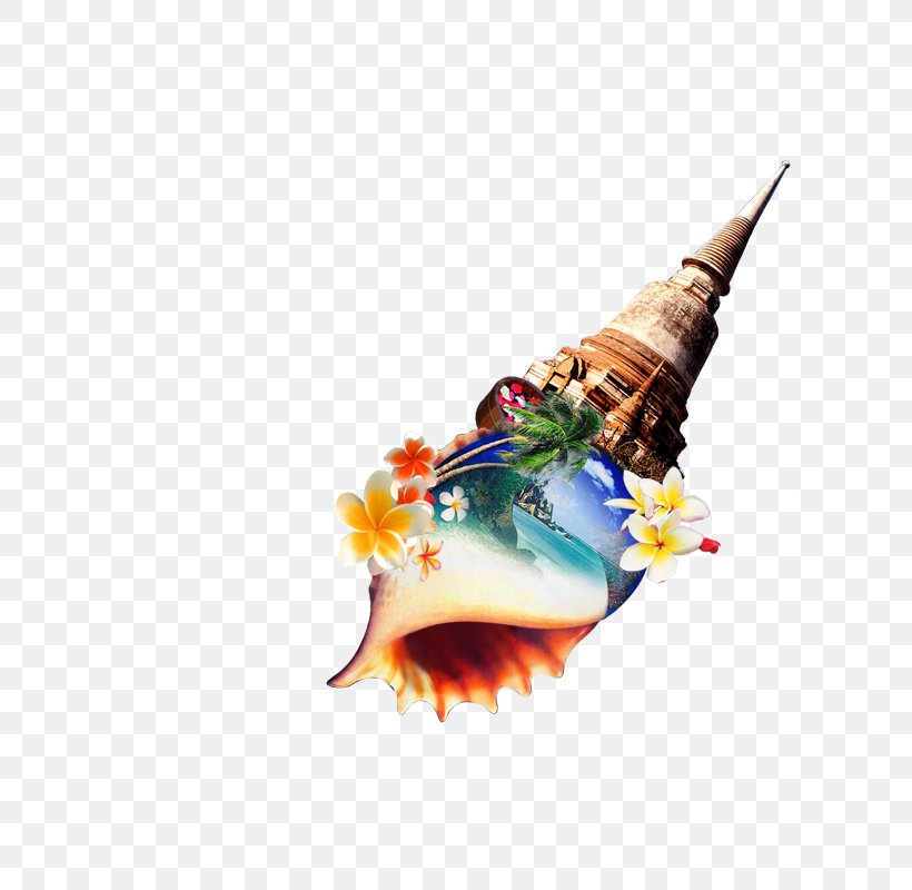 Conch, PNG, 800x800px, Creativity, Architecture, Coreldraw, Designer, Illustration Download Free