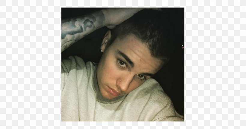 Justin Bieber Hairstyle Buzz Cut Celebrity Dreadlocks, PNG, 1200x630px, Watercolor, Cartoon, Flower, Frame, Heart Download Free