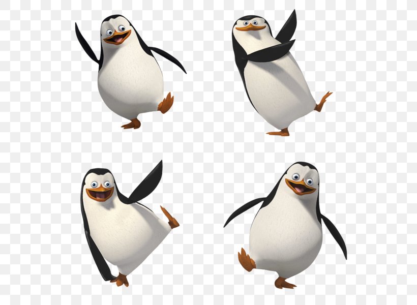 Kowalski Skipper Penguin Clip Art, PNG, 579x600px, Kowalski, Animation, Beak, Bird, Display Resolution Download Free