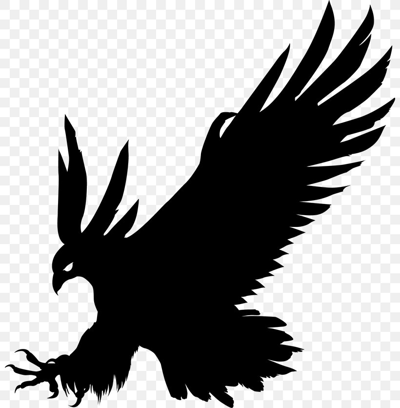 Bald Eagle Bird Silhouette Gray Wolf, PNG, 800x836px, Bald Eagle, Accipitriformes, Beak, Bird, Bird Of Prey Download Free